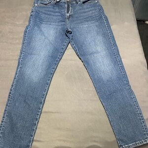 LOFT Outlet Blue Denim Jeans